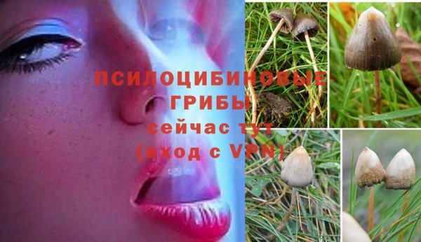 таблы Алексин